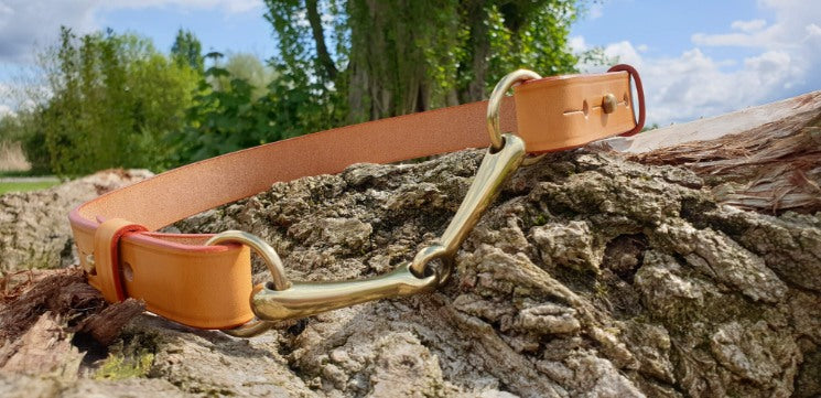 Filly & Fox Shackle Dressage Belt with Brass Horse Bit