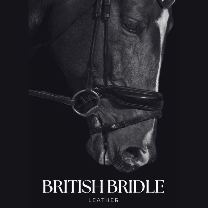 HERITAGE BRITISH | Bridle Belt Collection | Premium British Leather | Filly & Fox
