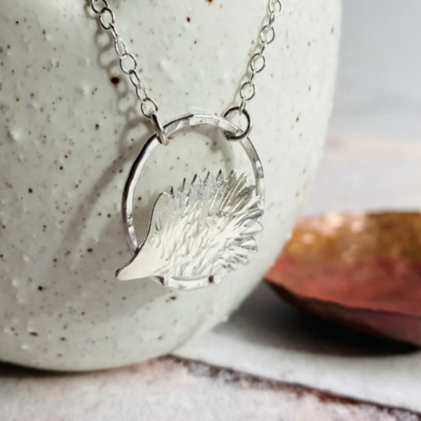 HEDGEHOG - British country garden favourite Silver Hedgehog.
